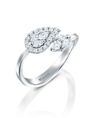 טבעת מלווין שני עלים