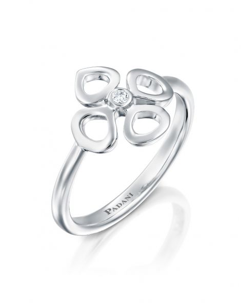 טבעת מיני ויולטו קונטור