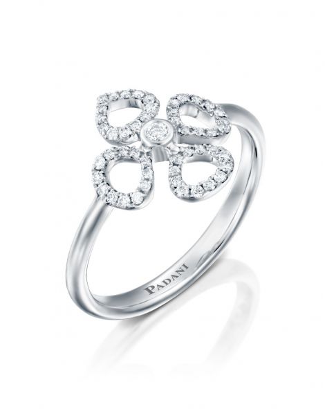 טבעת מיני ויולטו קונטור