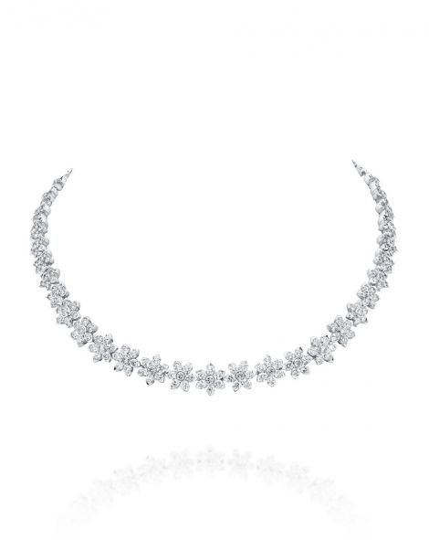 ענק פרחי מגן דוד