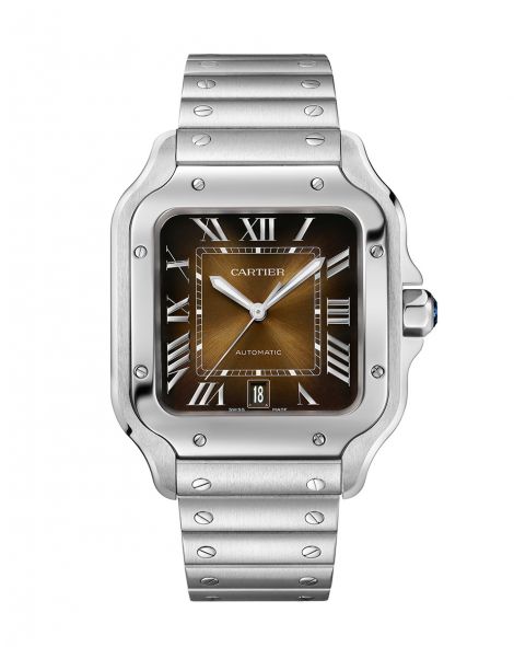 Santos de Cartier watch