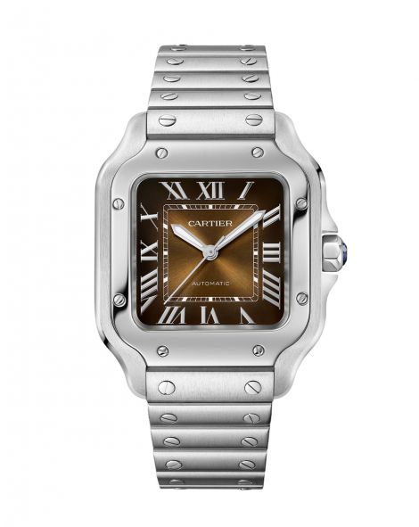 Santos de Cartier watch