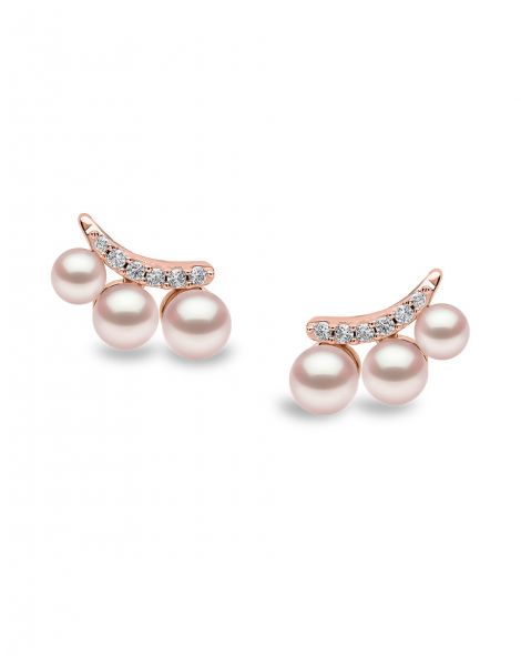 עגילי פנינים אקויה