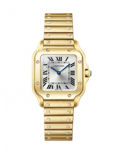 Santos de Cartier watch