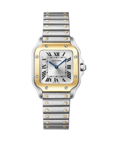 Santos de Cartier watch